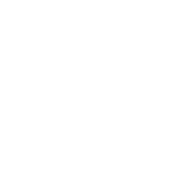 CPA Lead